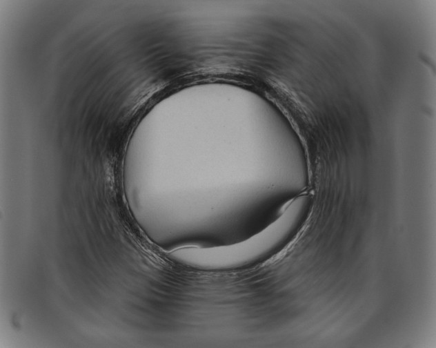 X0000097751305200804041054