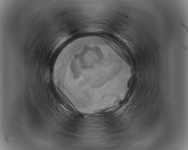 X0000097751306200804041054