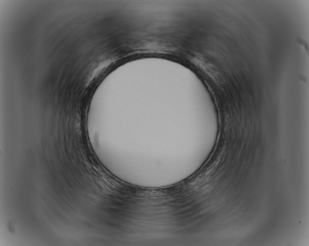 X0000097751307200804041054