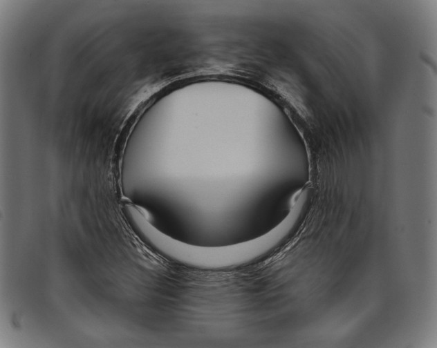 X0000097751308200804041054