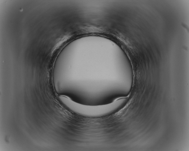 X0000097751309200804041054