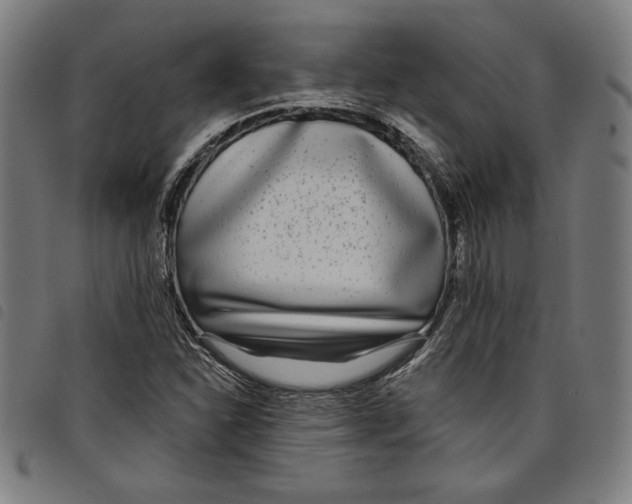 X0000097751310200804041054