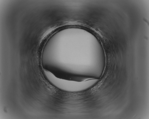 X0000097751311200804041054