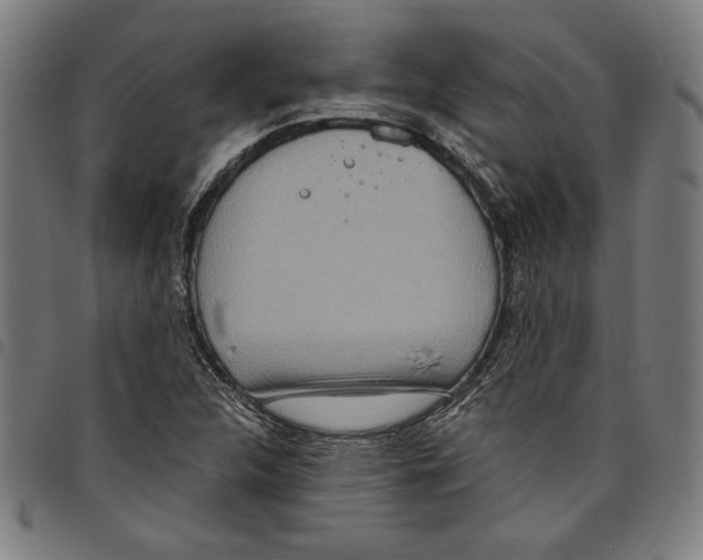 X0000097751312200804041054