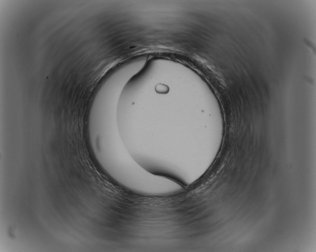 X0000097751313200804041054