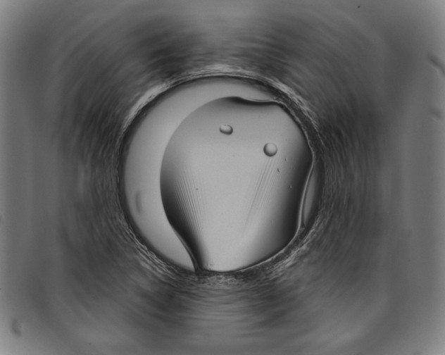 X0000097751314200804041054