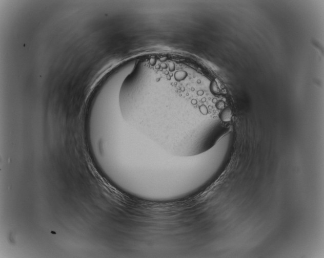 X0000097751318200804041054