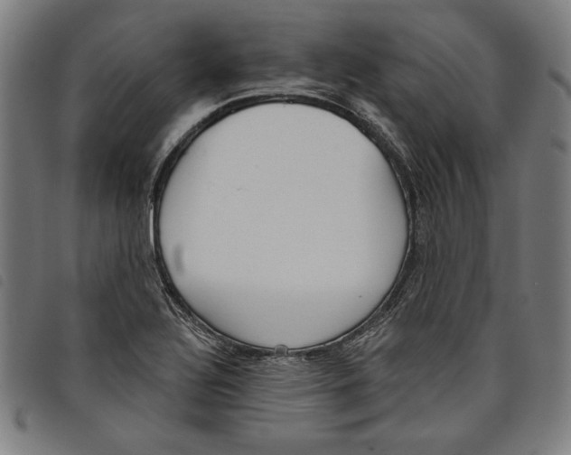 X0000097751320200804041054