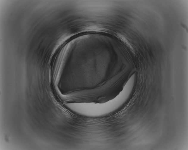 X0000097751323200804041054