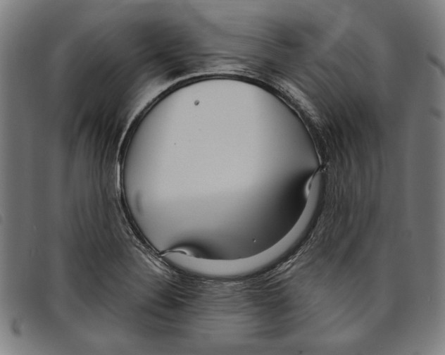 X0000097751324200804041054