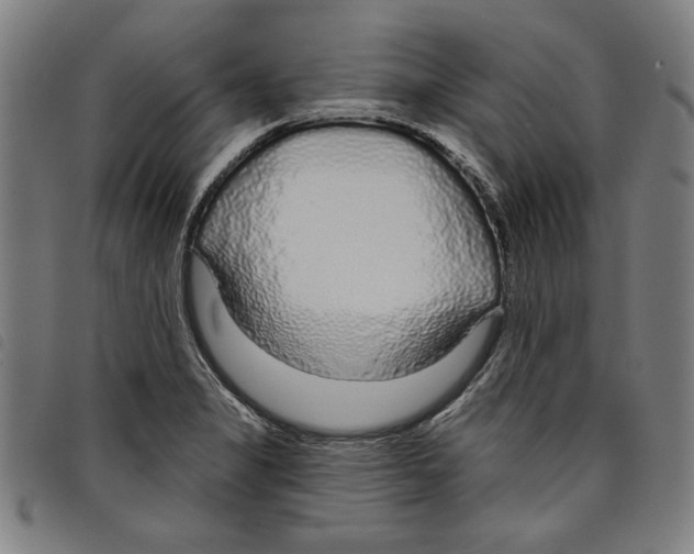 X0000097751325200804041054