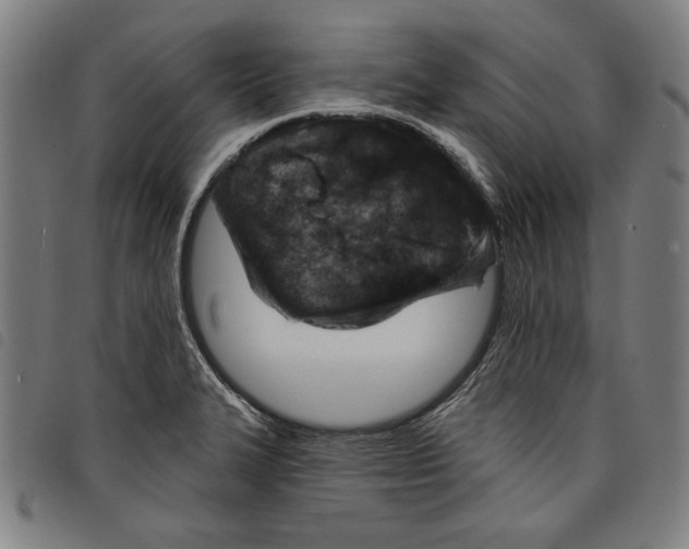 X0000097751327200804041054