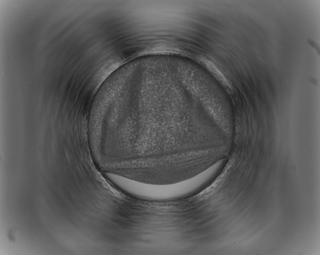 X0000097751329200804041054