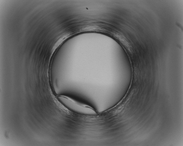 X0000097751330200804041054