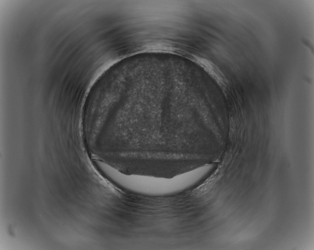 X0000097751331200804041054