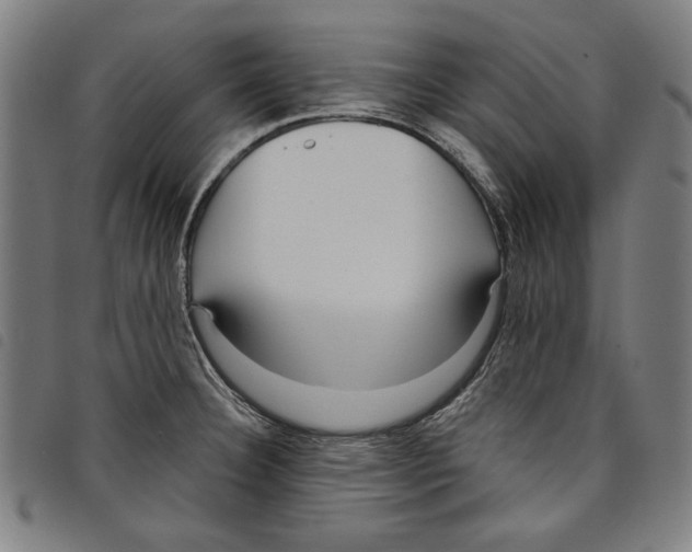 X0000097751332200804041054