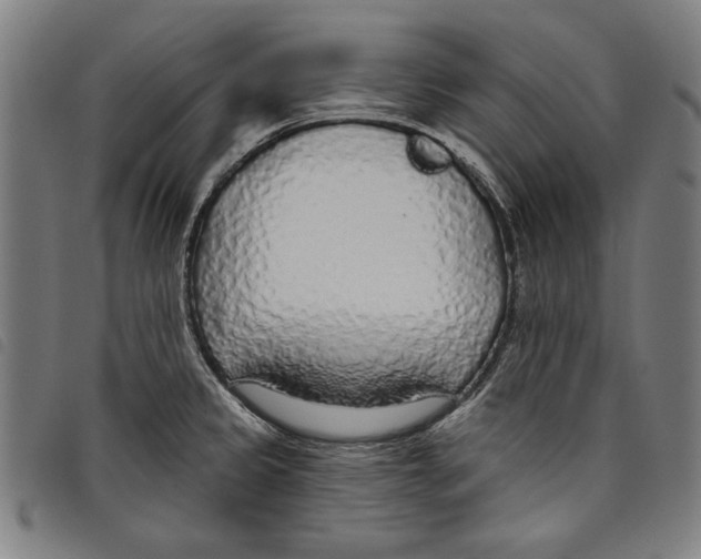 X0000097751333200804041054