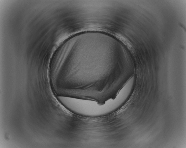 X0000097751334200804041054