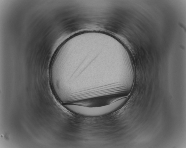 X0000097751335200804041054