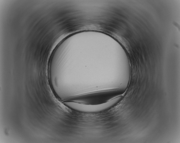 X0000097751339200804041054