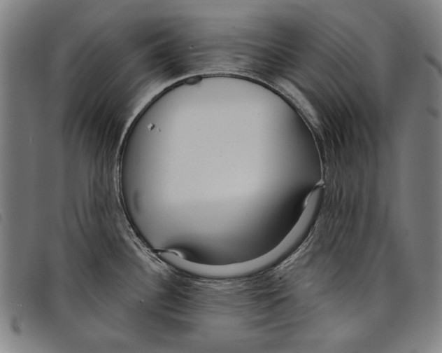 X0000097751340200804041054