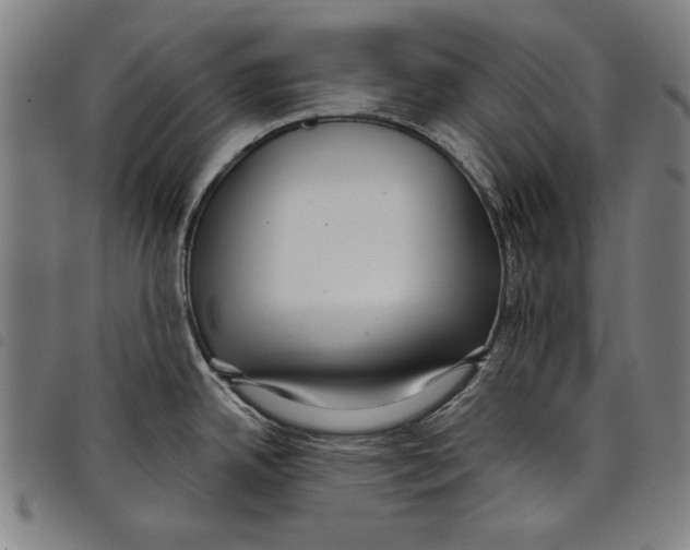 X0000097751342200804041054