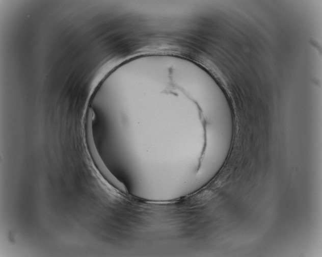 X0000097751344200804041054