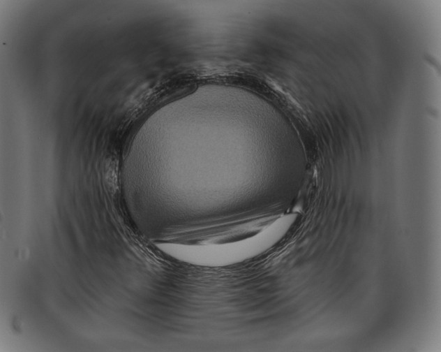 X0000097751348200804041054