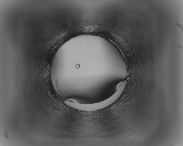 X0000097751349200804041054