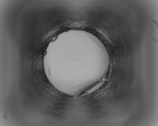 X0000097751350200804041054