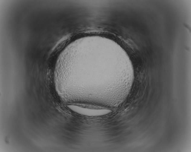 X0000097751351200804041054