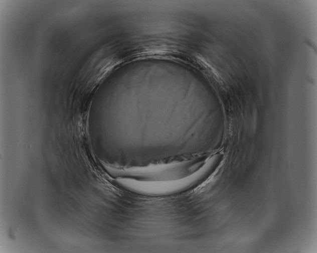 X0000097751353200804041053