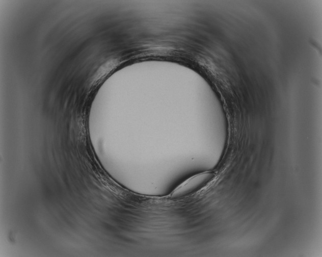 X0000097751354200804041053