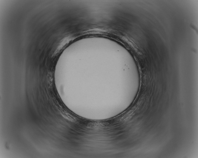 X0000097751355200804041053