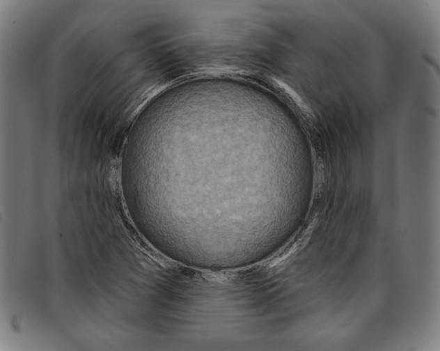 X0000097751361200804041053