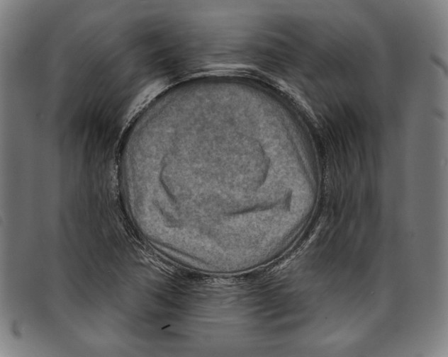 X0000097751362200804041053