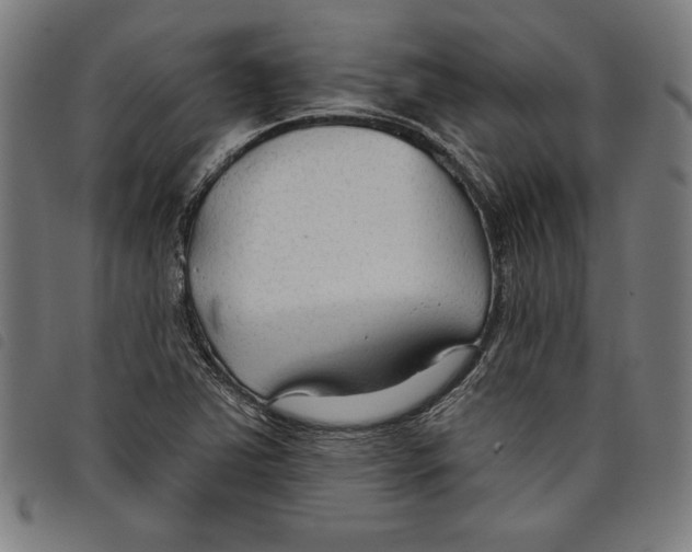 X0000097751363200804041053