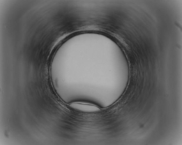 X0000097751364200804041053