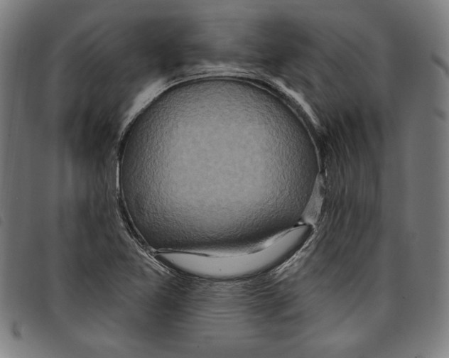 X0000097751365200804041053