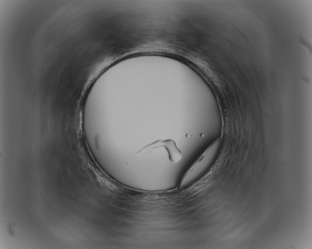 X0000097751366200804041053