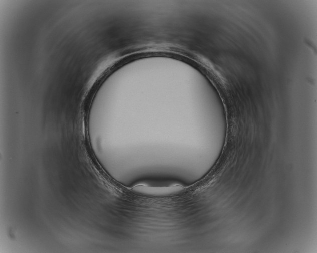 X0000097751368200804041053