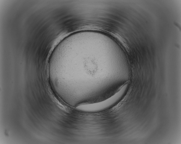 X0000097751371200804041053