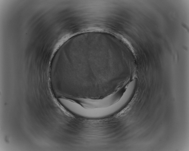 X0000097751373200804041053