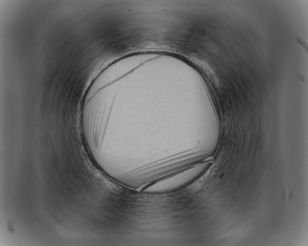 X0000097751374200804041053