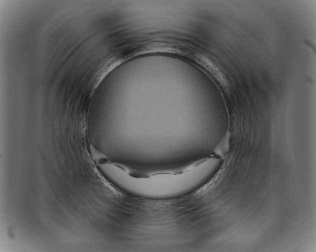 X0000097751377200804041053