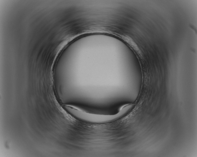 X0000097751380200804041053