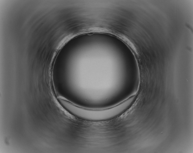 X0000097751381200804041053