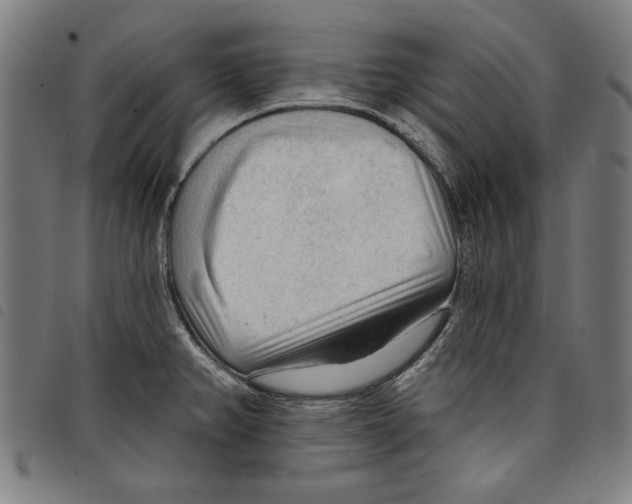 X0000097751382200804041053