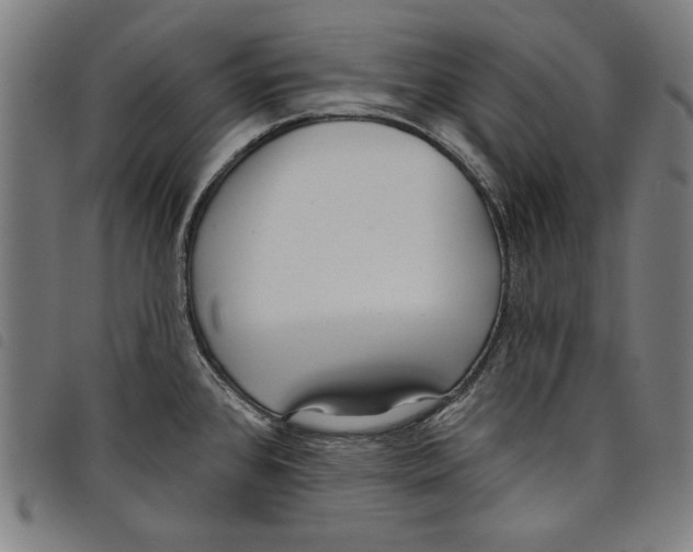 X0000097751384200804041053