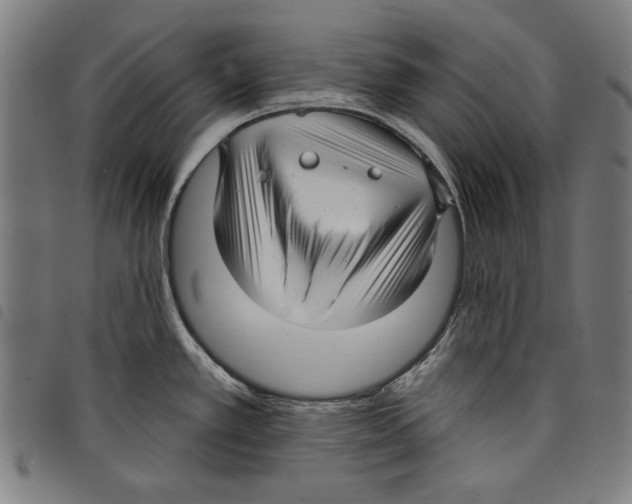 X0000097751389200804041053